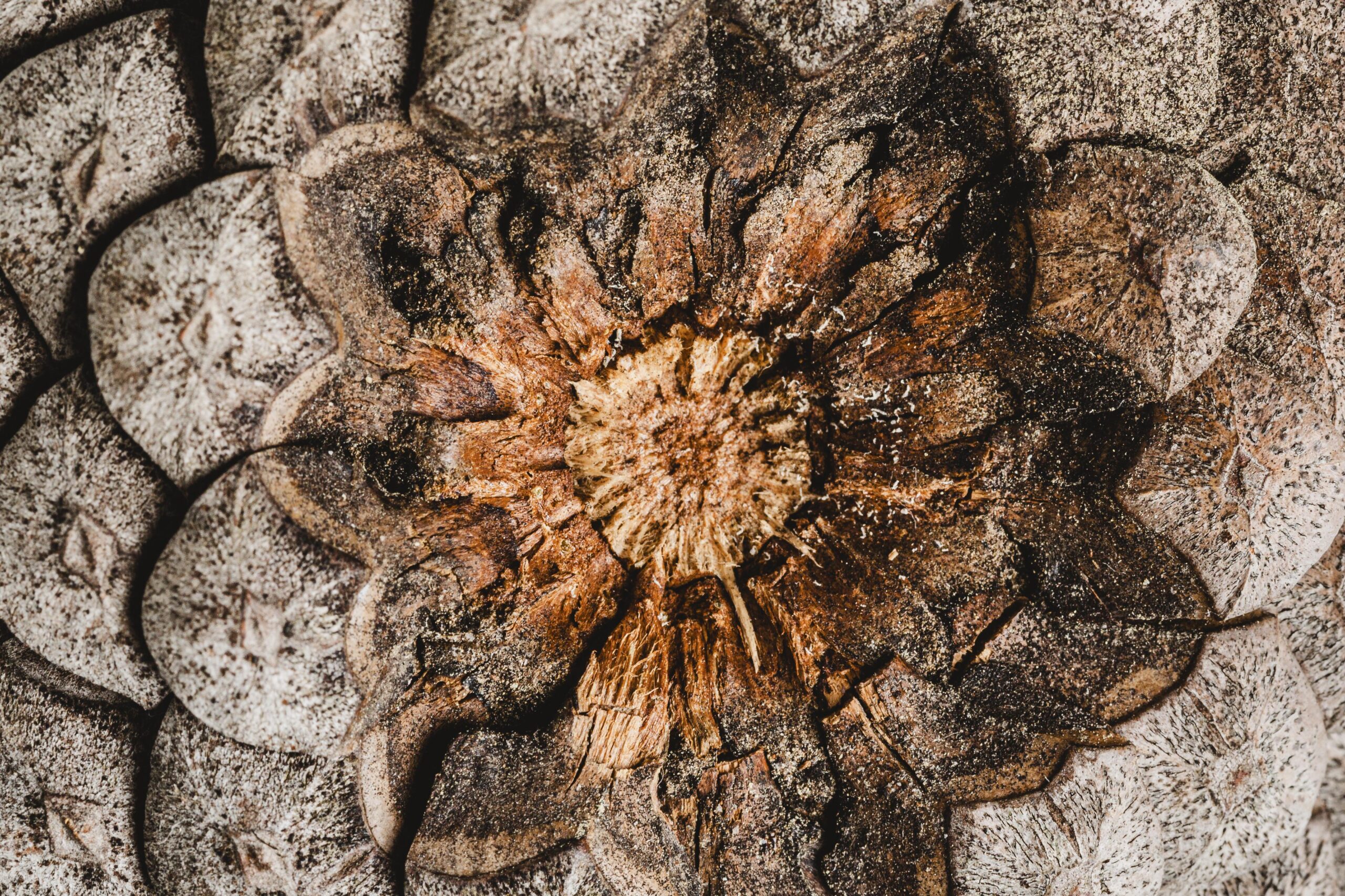 top-view-cone-wallpaper